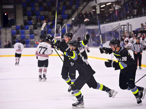 A team of hockey players in dark uniforms celebrate on the ice, while others skate in the background after a goal, in an arena.