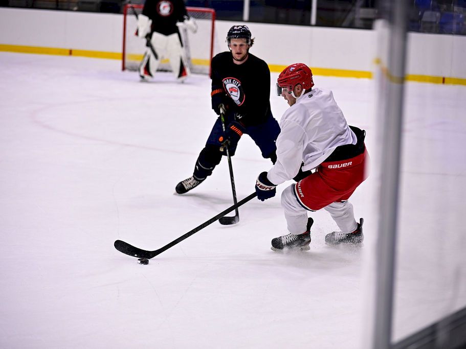 Two hockey players duel for the puck on an ice rink, with a goalie in the background guarding the net.