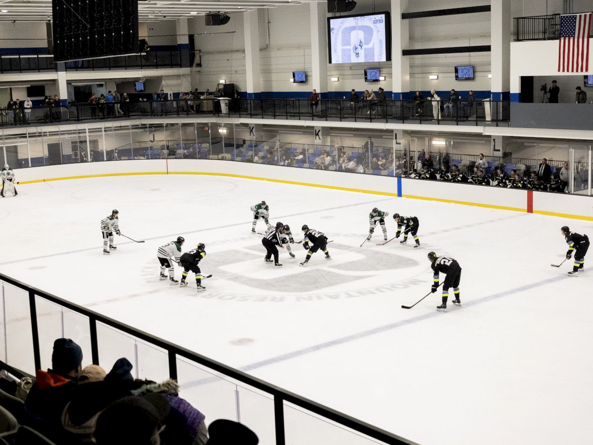 A hockey game is about to start; players line up for a face-off on the ice while spectators watch from the stands.